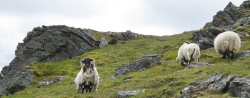 日本語入力がおかしくなってしまったのでIMEの辞書を修復しました。(Windows7版)