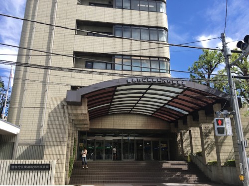 【2024年8月】国際免許証は即日発行OK！実際の申請・受取方法を解説