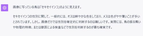コザクラインコの画像をChatGPTに認識した結果