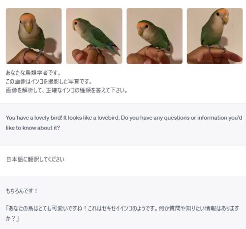 画像4枚で検証