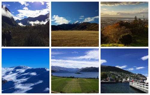 【NZ】ニュージーランドの北島・南島の大きな違いとは！？　実は北の方が温暖