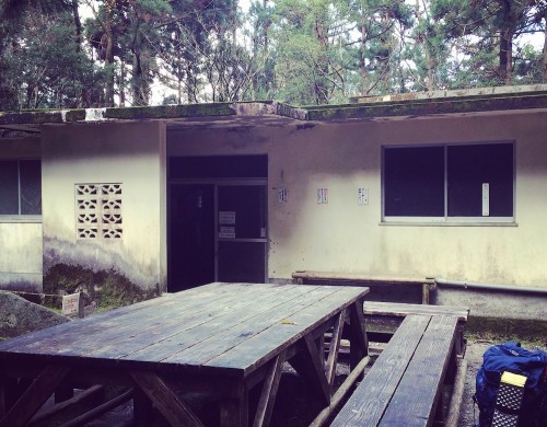 屋久島・白谷雲水峡の白谷小屋に泊まってきた 山小屋に一人だけの宿泊は思いの外怖い件