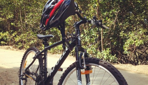 【オーストラリア】ケアンズで自転車を借りてサイクリングしてみた【走行ログあり】