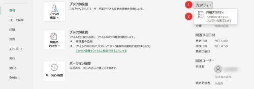 excel_information_property